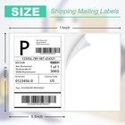 8 5 x5 5  Shipping Labels Half Sheet Self Adhesive 2 Per Sheet Laser Inkjet 2 Up