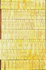 15 Line  2 5   Wood Letterpress Type  Complete Font  Unused  84 Blocks