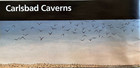 2025 Carlsbad Caverns Np - Nm   National Park Service Unigrid Brochure map  New