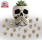 20pcs Mini Skull Figurines - Halloween Resin Skeleton Head Statue And Miniature