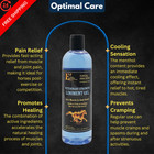 E3 Joint And Muscle Lin Non-greasy Herbal Gel With Mint     12 Oz Cooling Blue