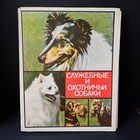 1980 Lot Rare Vintage Match Sticks Old Holder Matches Book Ussr Set Dog Photo