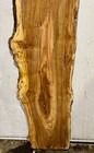 H50 Spalted Black Line Maple Burl Live  Edge Slab Birds Eye   Curly 59x20x2
