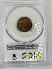 1857 Flying Eagle Cent Almost Uncirculated Au50 Ngc Certified Original Penny
