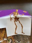 6ft Jointed Halloween Skeleton Decoration     Poseable Wall Cutout By Beistle