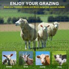 Tmee Electric Fence Netting Poultry Livestock Fencing For Chicken Goat With 14
