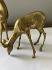 Vintage Mcm Solid Brass Deer Figurine Set - Pair Of Buck   Doe