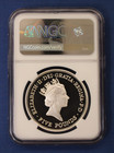 2013 Silver Proof   5 Coin  queen s Portraits - 1985-1997 Design  Ngc Graded Pf69