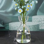 Avocado Seed Starter Vase Transparent Glass Vase For Growing Plant Glass Seed Gr
