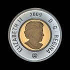 Canada  2009  2 Dollars  Silver - Qeii  Polar Bear  Gilt Toonie Frosted Proof 1