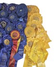 Vintage Horse Show Award Ribbons Rosettes Lot Swan Valley Saddle Club 1958-1967