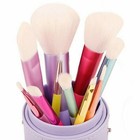 Professional Cosmetic Makeup Brush Sets Pastel Brushes W  Travel Case 10 Pieces