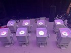 Chauvet Dj Freedom H1 X 4 Led  white 