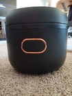 Wantjoin Commercial Boba Pearl Maker Cooker 900w 5l