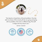 Dog Laxative Constipation Relief