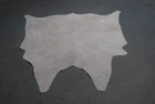 100  New Cowhide Rugs Area Cow Skin Leather  48 x 50   Cow Hide Sa-2125