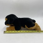 2007 Animal Alley Plush Dog Rottweiler Puppy Bean Bag Stuffed Toy 13 