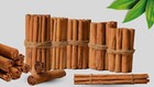 Ceylon Organic Cinnamon Sticks Highest Grade Not Cassia  sri Lanka 