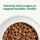 Choice Puppy Dry Dog Food  Lamb   Brown Rice Recipe