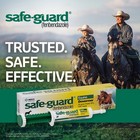 Safeguard  Horse 25gm    3-pack