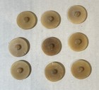 9 Vintage Asian Vegetable Ivory Buttons Hand Painted Beautiful  Quality 7 8   