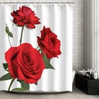 Livilan Rose Shower Curtain  Red Flower 72 w X 72 l  pack Of 1   White
