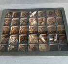 Vintage Herbal Apothecary Dried Specimen Medicine Kit 1900s Case Oddity Science 