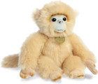 - Miyoni - 11  Baby Golden Snub Monkey