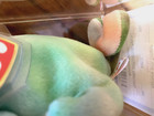 Ty Beanie Baby Rainbow The Chameleon 1997 - Rare Tush Tag Stamp