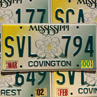 Mississippi Large Magnolia Flower Yellow Green Graphic License Plate Tags