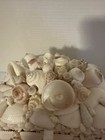 Hand Crafted Shell Box  Jewelry Box  Keepsake Box