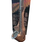 Casio Dh-100 Digital Horn Silver 8-key Built-in Speaker Key Of C W  Case