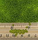 Vintage Antique Czech Glass Seed Beads Transparent Lime Green 9 0 C19-4