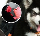 Seatbelt Leash Dog Pet Car Truck Auto Safety Belt Harness Collar Restraint Lead