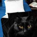 Black Cat With Green Eyes Fleece Blanket - Cat Lovers Cozy Throw Gift Idea