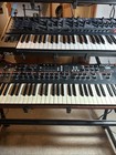 Dave Smith Instruments The Prophet 12 Keyboard Synthesizer