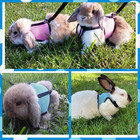 Rabbit Harness And Leash guinea Pig Escape Proof Bunny Harness And Leash Set  Cu