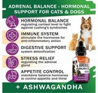 Adrenal Balance For Dogs And Cats - Cushings Treatment For Pets  Adren