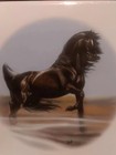 Mid-state  Trivet  Tile Friesain  Black Horse  6   6  Signed