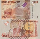 Uganda 2 Pcs Set  1000 And 2000 Shillings  2010  - P49a  P50a Unc