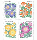 Mnh 2022 Usps Mountain Wild Flora 100 Count Floral Forever Stamps