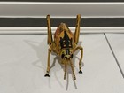 Vintage Rare 1994 Grasshopper Smithsonian Bug Hidden Kingdom Safari Injured