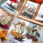 Nuanchu Dried Pressed Flowers Bulk Mushrooms For Crafts Original Color 