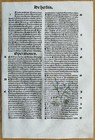 Post Incunable Leaf Hortus Sanitatis Colored Woodcuts Botany  f  - 1511
