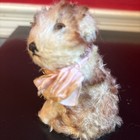 Steiff Molly Dog- 4    No Id  Mohair  Swivel Head  Original Bell And Ribbon