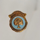 Vtg Lgb 10k Solid Yellow Gold National Congress Parents Teachers 1897 Enamel Pin