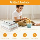 64 Digital Eggs Incubator Egg Hatcher With Temperature Control Automatic Turner 
