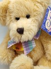 Russ Vintage Adorable Golden Brown Teddy Bear Plush 1995 Soft Classics With Tags