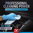 2x Triax All-clean Professional Grade  Multi-purpose  Non-toxic Cleaner 1 Gallon