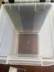 Iris Airtight Pet Food Storage Container  Wheeled  Clear black Lid  40 Qt